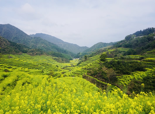 【火车/高铁】婺望南山婺源庐山景德镇5日