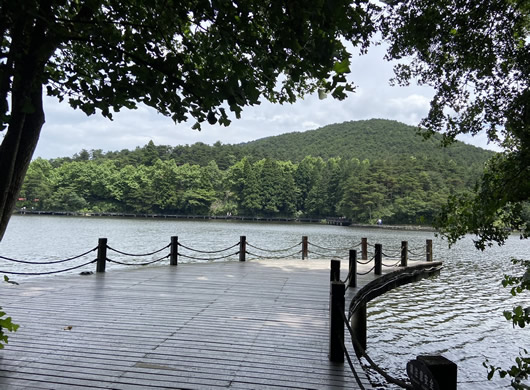 【飞机】遇见江西-南昌庐山+景德镇婺源5日